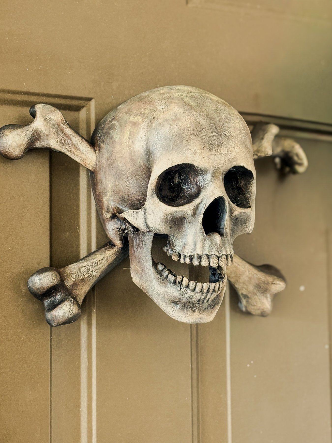 Jolly Roger wall relic closeup